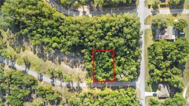 This Vacant Land is ready for your dream home or investment! on Citrus Springs Country Club in Florida - for sale on GolfHomes.com, golf home, golf lot