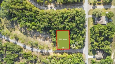 This Vacant Land is ready for your dream home or investment! on Citrus Springs Country Club in Florida - for sale on GolfHomes.com, golf home, golf lot