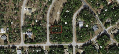 This Vacant Land is ready for your dream home or investment! on Citrus Springs Country Club in Florida - for sale on GolfHomes.com, golf home, golf lot