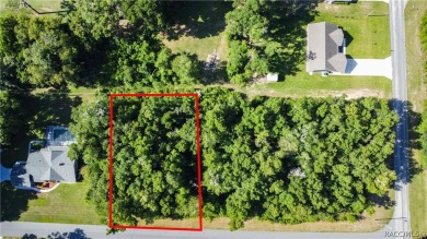 Come build your dream home on this beautiful golf course lot in on Citrus Springs Country Club in Florida - for sale on GolfHomes.com, golf home, golf lot