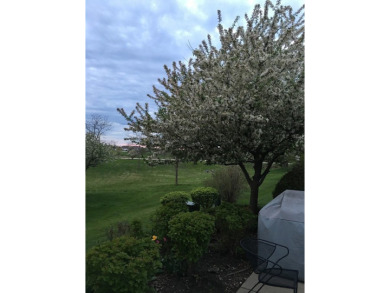 Welcome to this beautiful open and airy Ranch home offering the on Whisper Creek Golf Club in Illinois - for sale on GolfHomes.com, golf home, golf lot