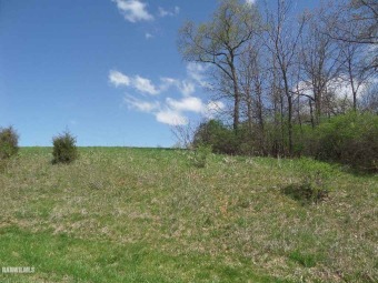 This 1.95 acre parcel is a great building site with panoramic on Lake Carroll Golf Course in Illinois - for sale on GolfHomes.com, golf home, golf lot