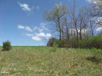 This 1.95 acre parcel is a great building site with panoramic on Lake Carroll Golf Course in Illinois - for sale on GolfHomes.com, golf home, golf lot