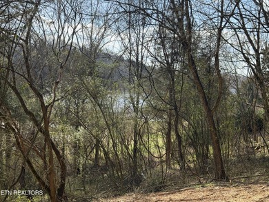 Beautiful, oversized 48-acre corner lot in the desirable Toqua on Toqua Golf Course - Loudon County in Tennessee - for sale on GolfHomes.com, golf home, golf lot