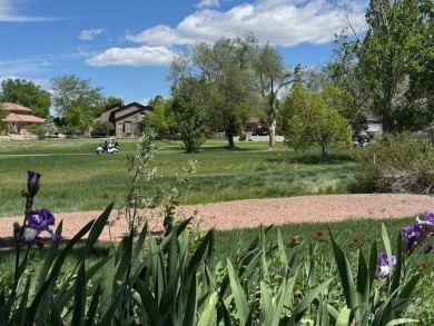 Right on the golf course! All new HVAC recently installed on Desert Hawk At Pueblo West in Colorado - for sale on GolfHomes.com, golf home, golf lot