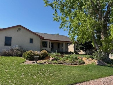Right on the golf course! All new HVAC recently installed on Desert Hawk At Pueblo West in Colorado - for sale on GolfHomes.com, golf home, golf lot