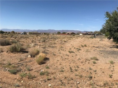 NICE LOT IN VALLE VISTA CLOSE TO THE CLUB HOUSE. A GROWING on Valle Vista Golf Course in Arizona - for sale on GolfHomes.com, golf home, golf lot