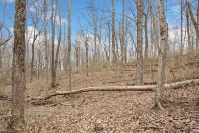 Here is your chance to own 130+/- acres in Campbell County on  in Kentucky - for sale on GolfHomes.com, golf home, golf lot