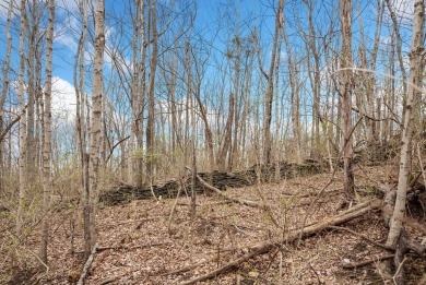 Here is your chance to own 130+/- acres in Campbell County on  in Kentucky - for sale on GolfHomes.com, golf home, golf lot