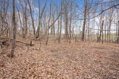 Here is your chance to own 130+/- acres in Campbell County on  in Kentucky - for sale on GolfHomes.com, golf home, golf lot