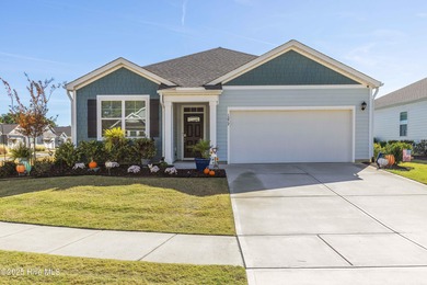 Welcome to this beautifully enhanced 3 bedroom, 2 bath, 1618 on Cape Fear National At Brunswick Forest in North Carolina - for sale on GolfHomes.com, golf home, golf lot