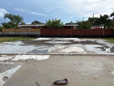 Rare opportunity in sought-after Baywood Shores! This 60x100 on The Dunedin Country Club in Florida - for sale on GolfHomes.com, golf home, golf lot