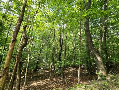 Build your dream home or weekend retreat on this wooded lot in on Hide-A-Way Hills Golf Club in Ohio - for sale on GolfHomes.com, golf home, golf lot