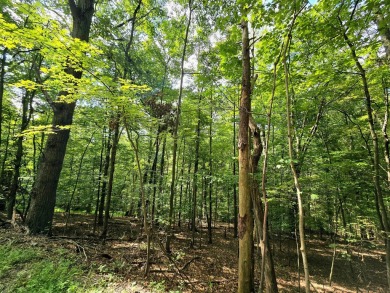 Build your dream home or weekend retreat on this wooded lot in on Hide-A-Way Hills Golf Club in Ohio - for sale on GolfHomes.com, golf home, golf lot