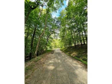 Build your dream home or weekend retreat on this wooded lot in on Hide-A-Way Hills Golf Club in Ohio - for sale on GolfHomes.com, golf home, golf lot