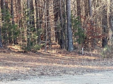 This lot would be a fantastic site to build your dream home! on Isabella Golf Course  in Arkansas - for sale on GolfHomes.com, golf home, golf lot