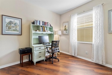 IT IS RARE TO FIND A TERRA VISTA CAREFREE HOME, REMINISCENT OF A on Skyview At Terra Vista Golf and Country Club in Florida - for sale on GolfHomes.com, golf home, golf lot