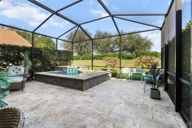 IT IS RARE TO FIND A TERRA VISTA CAREFREE HOME, REMINISCENT OF A on Skyview At Terra Vista Golf and Country Club in Florida - for sale on GolfHomes.com, golf home, golf lot