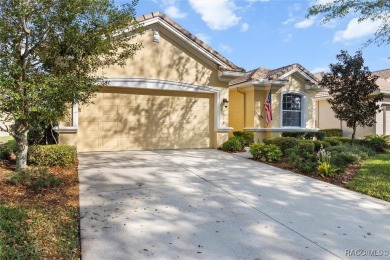 IT IS RARE TO FIND A TERRA VISTA CAREFREE HOME, REMINISCENT OF A on Skyview At Terra Vista Golf and Country Club in Florida - for sale on GolfHomes.com, golf home, golf lot