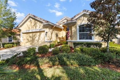 IT IS RARE TO FIND A TERRA VISTA CAREFREE HOME, REMINISCENT OF A on Skyview At Terra Vista Golf and Country Club in Florida - for sale on GolfHomes.com, golf home, golf lot