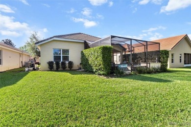 IT IS RARE TO FIND A TERRA VISTA CAREFREE HOME, REMINISCENT OF A on Skyview At Terra Vista Golf and Country Club in Florida - for sale on GolfHomes.com, golf home, golf lot