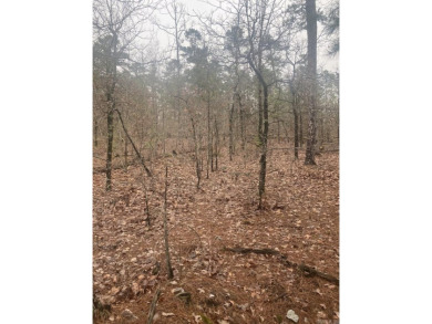Wooded lot near Balboa Golf Course in Hot Springs Village! on Balboa Golf Course in Arkansas - for sale on GolfHomes.com, golf home, golf lot