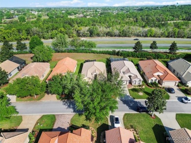 IT IS RARE TO FIND A TERRA VISTA CAREFREE HOME, REMINISCENT OF A on Skyview At Terra Vista Golf and Country Club in Florida - for sale on GolfHomes.com, golf home, golf lot