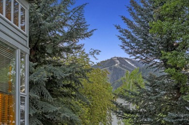 The only available comparable home north of Ketchum. Less than 5 on Bigwood At Thunder Springs in Idaho - for sale on GolfHomes.com, golf home, golf lot