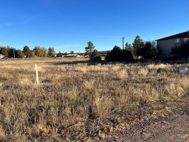Discover the perfect blend of small-town charm and modern on Hollydot Golf Course in Colorado - for sale on GolfHomes.com, golf home, golf lot
