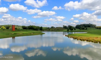 This lot is located in an Elite Waterfront Golf Community on Tennessee National Golf Club in Tennessee - for sale on GolfHomes.com, golf home, golf lot
