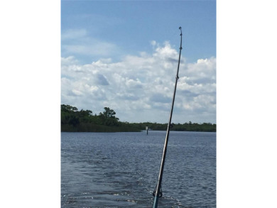 Excellent opportunity to build your dream home on a beautiful on Rotonda Golf and Country Club - Long Marsh  in Florida - for sale on GolfHomes.com, golf home, golf lot