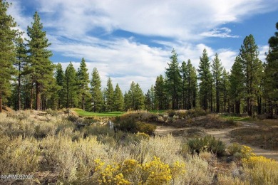 A perfect one and one half acre, lovely trees and natural on Clear Creek Tahoe in Nevada - for sale on GolfHomes.com, golf home, golf lot