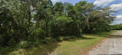 INVESTOR AND BUILDER ALERT!! Check out this MULTI-FAMILY on Citrus Springs Country Club in Florida - for sale on GolfHomes.com, golf home, golf lot