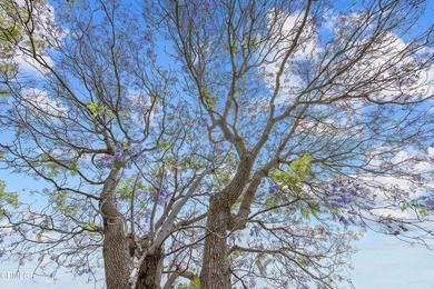 Set in one of Camarillo's most sought-after 55+ communities on Leisure Village Golf Club in California - for sale on GolfHomes.com, golf home, golf lot