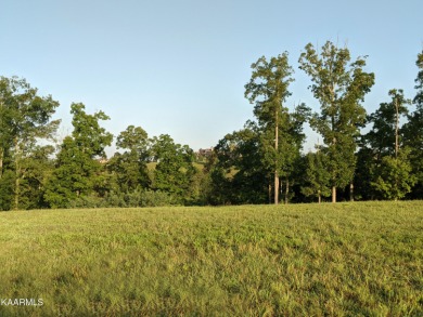 Prime lakeview homesite in the heart of WindRiver Lakefront & on Wind River Golf Course in Tennessee - for sale on GolfHomes.com, golf home, golf lot