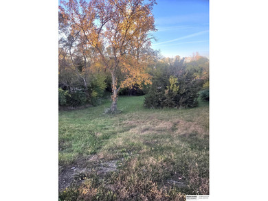 Patricia Scarlett, M: , patty.scarlett,   - Look No Further! on Lake Ridge Country Club in Nebraska - for sale on GolfHomes.com, golf home, golf lot