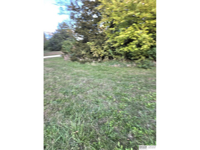 Patricia Scarlett, M: , patty.scarlett,   - Look No Further! on Lake Ridge Country Club in Nebraska - for sale on GolfHomes.com, golf home, golf lot