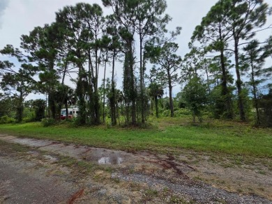 This 0.30-acres, Oversized lot, offers ample space to build your on Mirror Lakes Golf Club in Florida - for sale on GolfHomes.com, golf home, golf lot