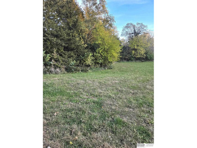 Patricia Scarlett, M: , patty.scarlett,   - Look No Further! on Lake Ridge Country Club in Nebraska - for sale on GolfHomes.com, golf home, golf lot