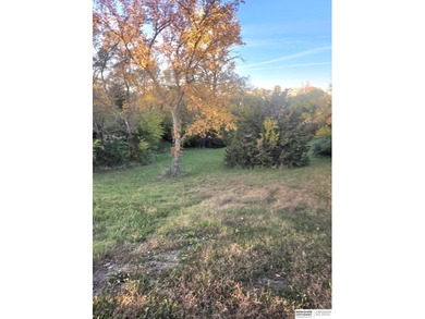 Patricia Scarlett, M: , patty.scarlett,   - Look No Further! on Lake Ridge Country Club in Nebraska - for sale on GolfHomes.com, golf home, golf lot