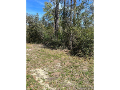 Wooded 0.29-acre Citrus Springs corner lot is awaiting your new on Citrus Springs Country Club in Florida - for sale on GolfHomes.com, golf home, golf lot