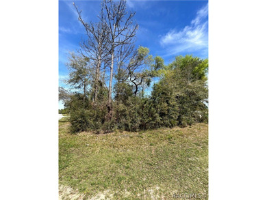 Wooded 0.29-acre Citrus Springs corner lot is awaiting your new on Citrus Springs Country Club in Florida - for sale on GolfHomes.com, golf home, golf lot