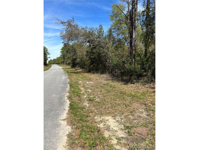 Wooded 0.29-acre Citrus Springs corner lot is awaiting your new on Citrus Springs Country Club in Florida - for sale on GolfHomes.com, golf home, golf lot