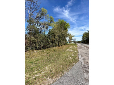 Wooded 0.29-acre Citrus Springs corner lot is awaiting your new on Citrus Springs Country Club in Florida - for sale on GolfHomes.com, golf home, golf lot