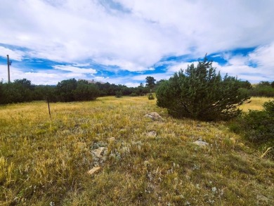 Nestled on Waco Mish Road in the heart of Colorado City, this on Hollydot Golf Course in Colorado - for sale on GolfHomes.com, golf home, golf lot