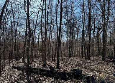 Located on a small cul de sac with no other homes, just minutes on Branchwood Golf Course in Arkansas - for sale on GolfHomes.com, golf home, golf lot