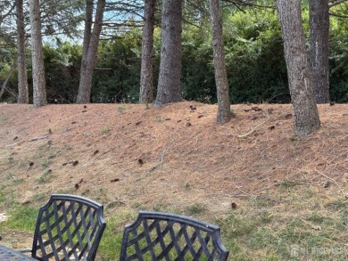 Very desirable immaculate Westport model in the premier 55+ on Greenbriar At Whittingham in New Jersey - for sale on GolfHomes.com, golf home, golf lot