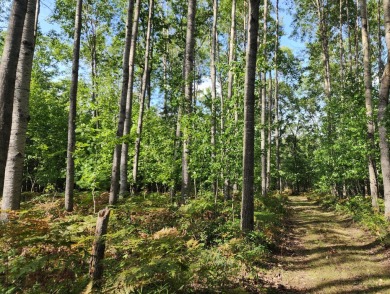 GOT LAND? Just in time for Hunting Season! These 10 acres are on White Pine National Golf Resort in Michigan - for sale on GolfHomes.com, golf home, golf lot