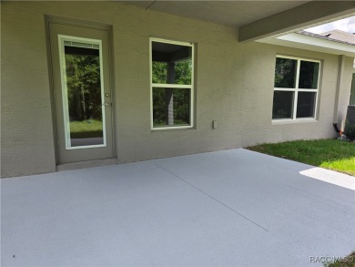 THE WILLOW - Located in * The Premier Gated, Lakeside Community on Inverness Golf and Country Club in Florida - for sale on GolfHomes.com, golf home, golf lot