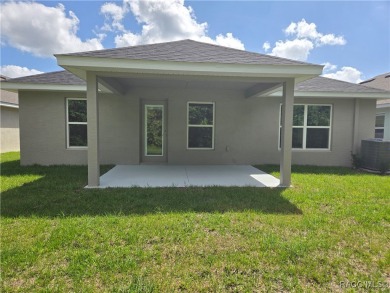 THE WILLOW - Located in * The Premier Gated, Lakeside Community on Inverness Golf and Country Club in Florida - for sale on GolfHomes.com, golf home, golf lot